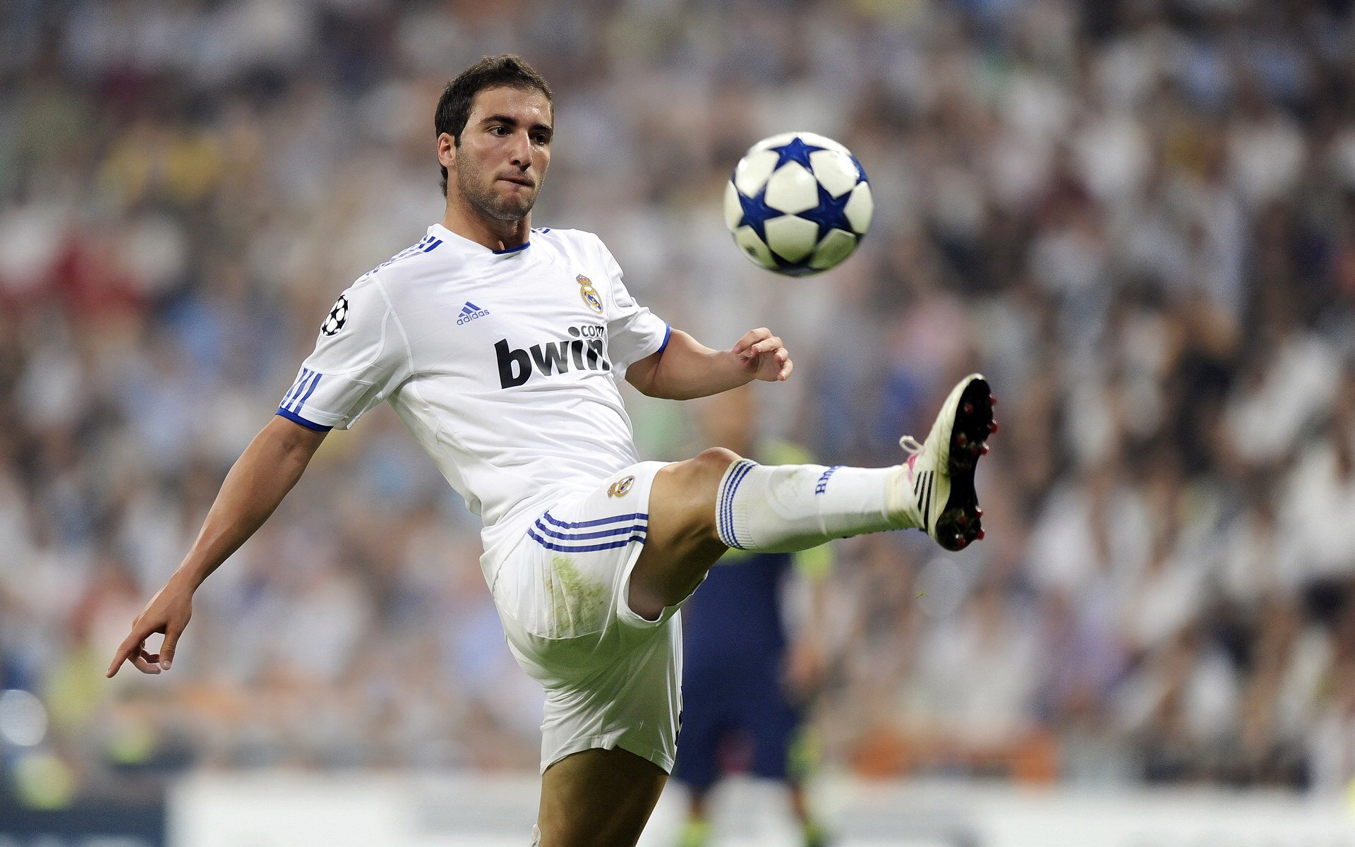 当波兰铁骑碾过巴斯克雄狮,F1争冠暗战中的地缘隐喻